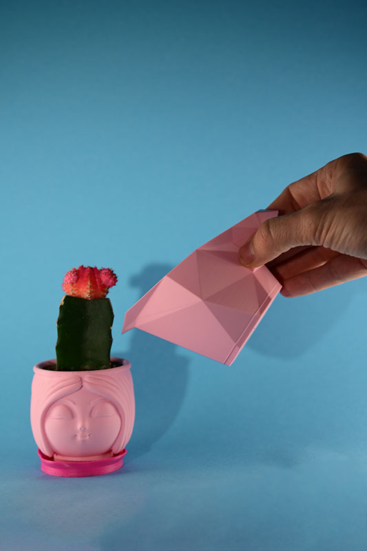 Origami sakura und Solveig Sakura